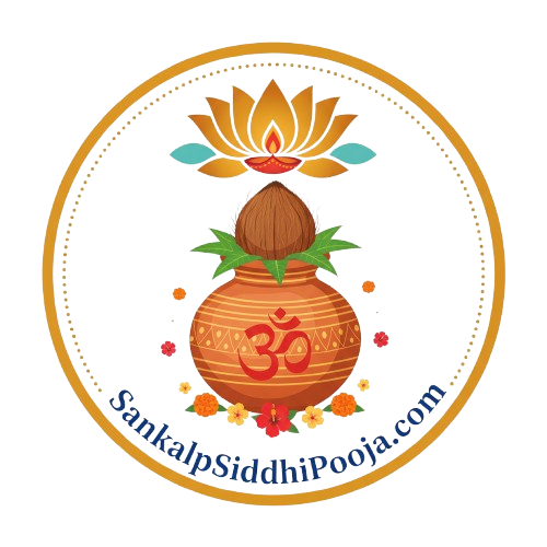 logo removebg preview