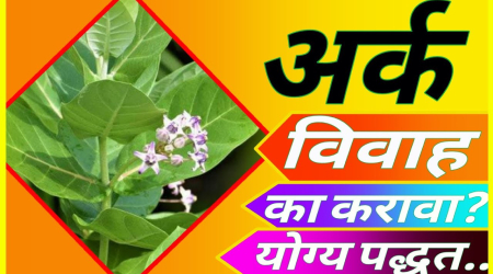 ark vivah puja for male 3 1